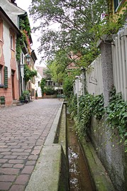 Unbekannte Pfade in Freiburg beschreiten.