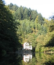 Waldsee Waldsee