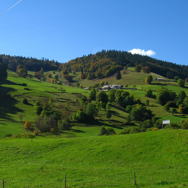 Schauinsland-Landschaft