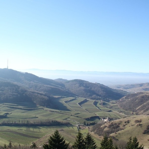 Blick Kaiserstuhl-Vogesen vom Eichelspitzturm