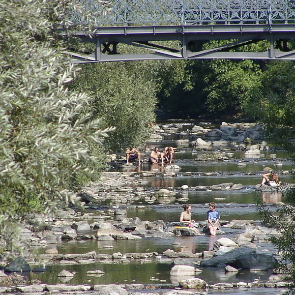 Abkhlung an der Dreisam