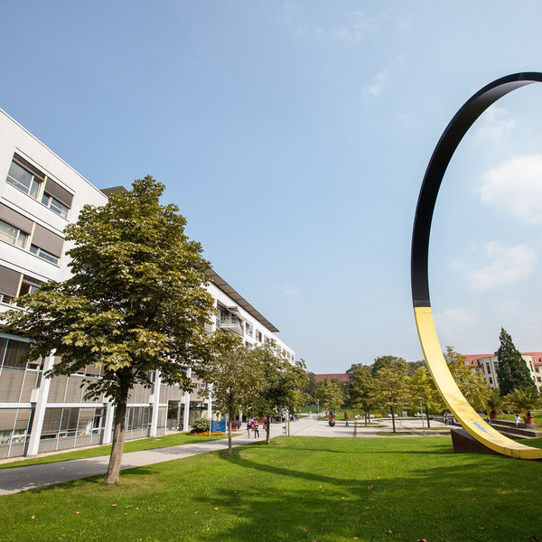 Park II (c) Universitätsklinikum Freiburg/Britt Schilling