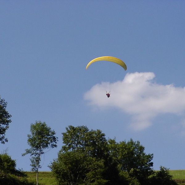 Gleitschirmflieger bei Freiburg