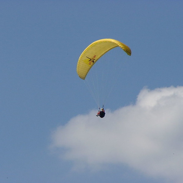 Gleitschirmflieger bei Freiburg