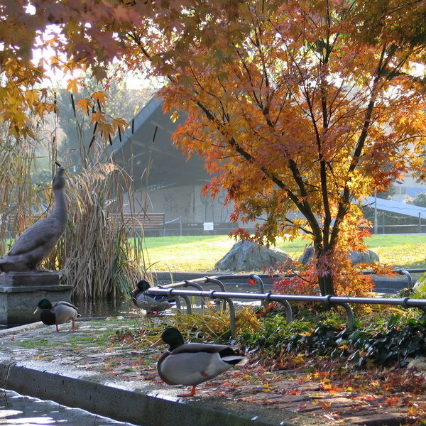 Satdtgarten Freiburg - Erpeldenkmal