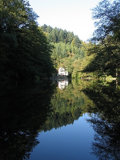 Waldsee